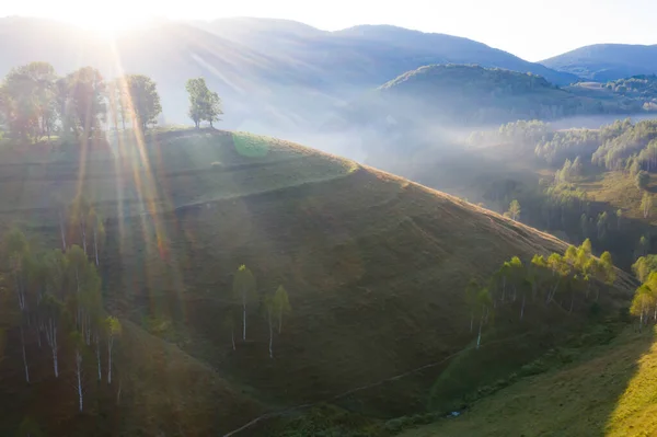 Aerial View Endless Lush Pastures Transylvania Beautiful Romanian Countryside Emerald — Stock Photo, Image