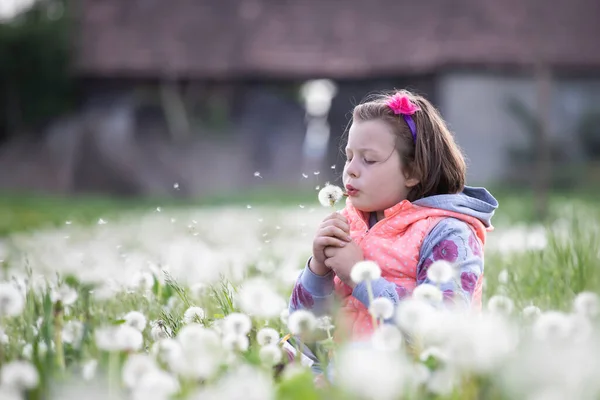 Dolce Bambina Che Soffia Dente Leone Seduta Tra Denti Leone — Foto Stock