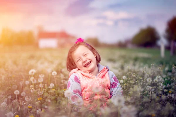 Doce Menina Divertindo Campo Dente Leão Primavera — Fotografia de Stock