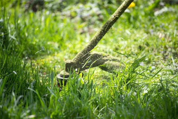 Een Gazon Maaien Met Een Grasmaaier Tuinwerk Concept Achtergrond — Stockfoto