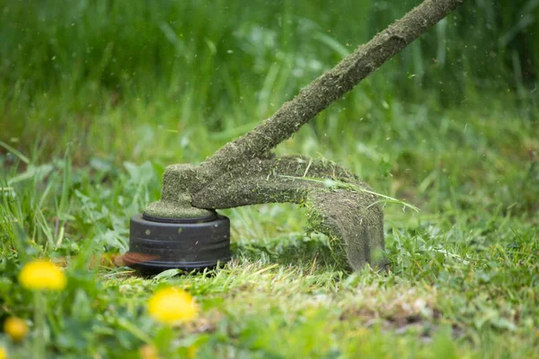 Mowing a lawn with a lawn mower. Garden work concept background.