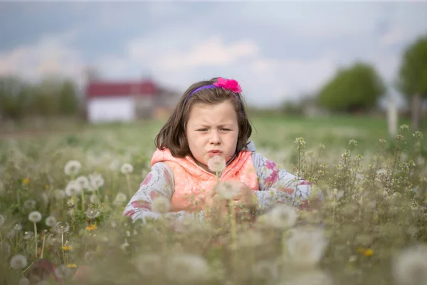 Söt Liten Flicka Blåser Maskros Sitter Mellan Maskrosor — Stockfoto