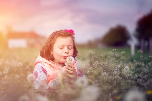 Sweet Little Girl Blowing Dandelion Sitting Dandelions — Stock Photo, Image