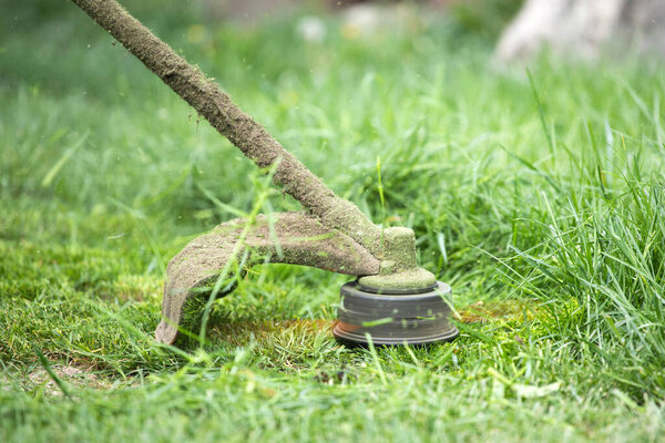 Mowing a lawn with a lawn mower. Garden work concept background.
