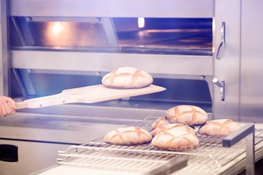 Baker geleneksel Fransız ekmeğini fırında pişirir..