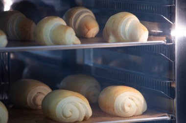 Bir fırında profesyonel bir fırında hamur işi pişirmek.