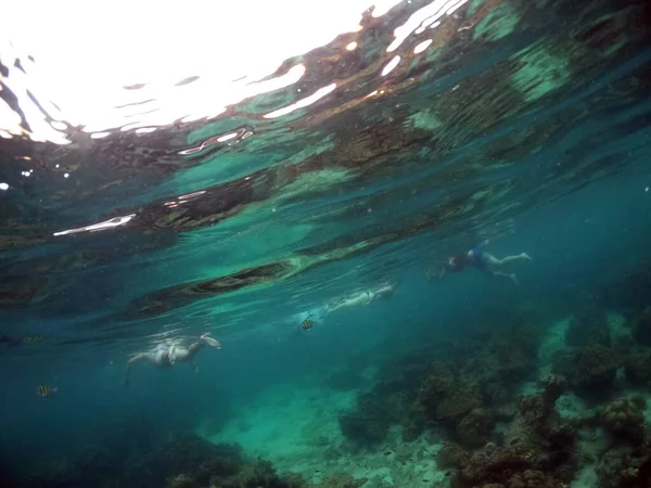 サンゴ礁と熱帯魚軍曹と水中の風景 — ストック写真