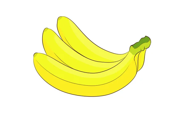 Banana in vector — Stock Vector