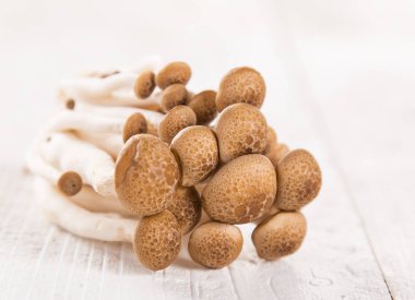 Beyaz ahşap zemin üzerinde kahverengi kayın mantar.