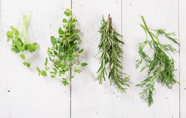 Taze otlar çeşitli tür