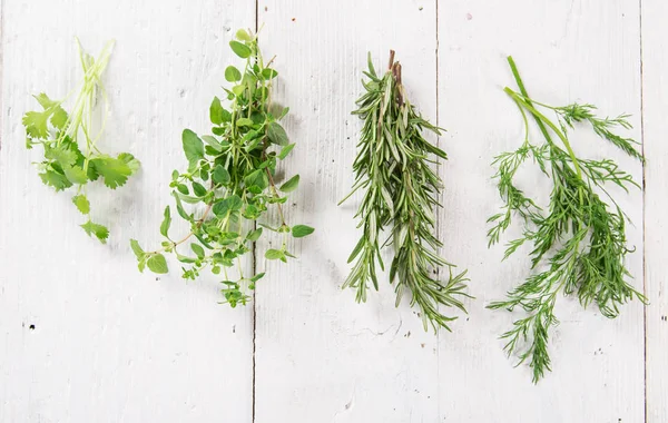 Various kind of fresh herbs — Stock Photo, Image