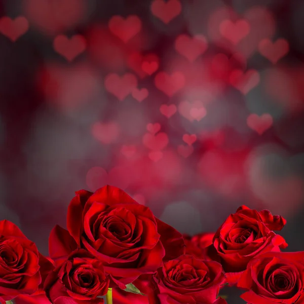 Valentine červené růže abstraktní pozadí. — Stock fotografie