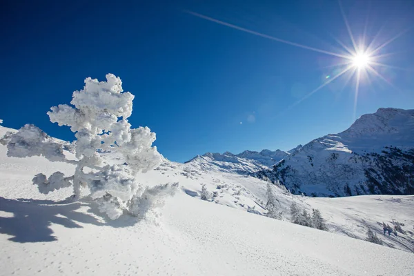 冬季滑雪斜坡山全景. — 图库照片