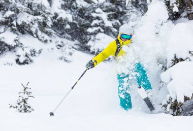 Freeride taze toz karda.