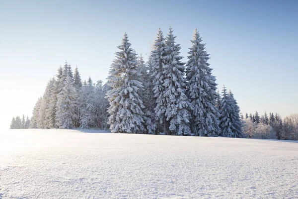 Paisagem ensolarada de inverno nas montanhas — Fotografia de Stock