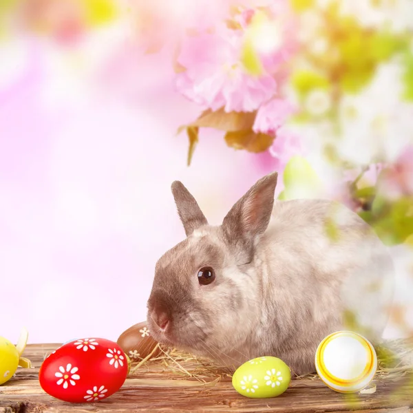 Easter bunny and Easter eggs on green grass — Stock Photo, Image