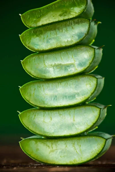 Grüne Blätter der Aloe-Pflanze aus nächster Nähe. — Stockfoto