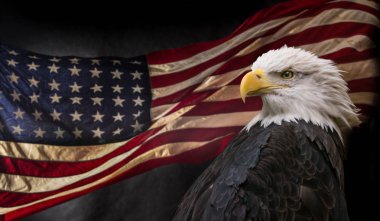 Amerikan kel kartal bayrak ile.