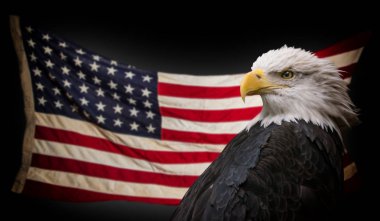 Amerikan kel kartal bayrak ile.