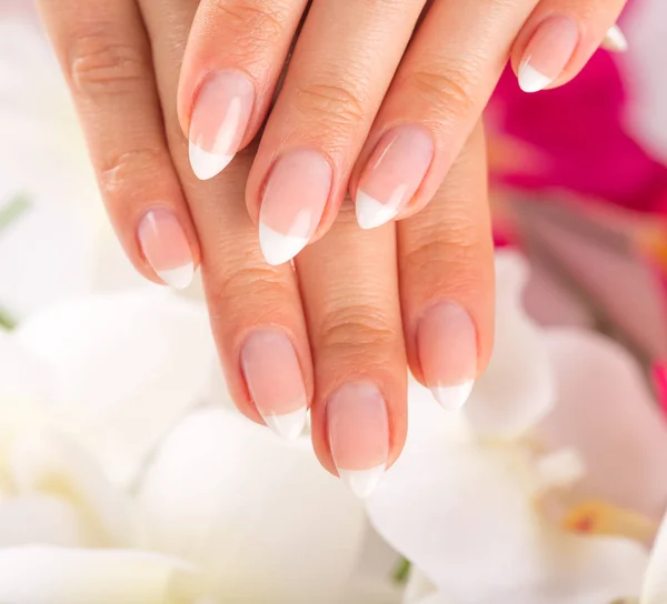 Mooie dames nagels, Franse manicure. — Stockfoto