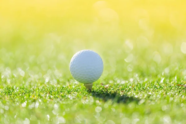 Close up of golf ball on tee — Stock Photo, Image