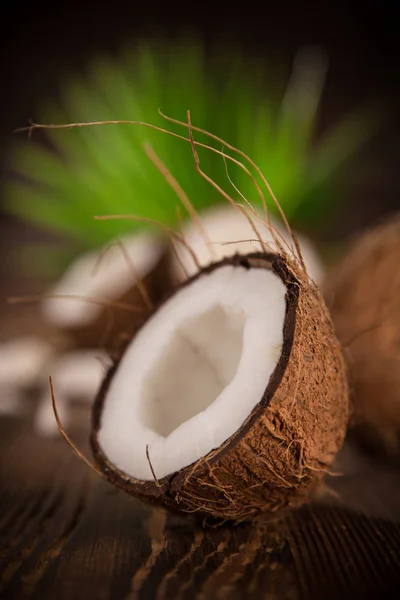 Close up van een kokosnoten — Stockfoto