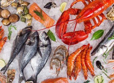 Ezilmiş buzda servis edilen taze deniz ürünleri..