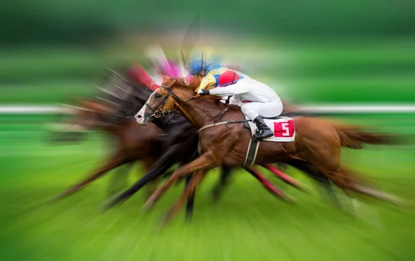 Corrida de cavalos com jóqueis em casa em linha reta — Fotografia de Stock