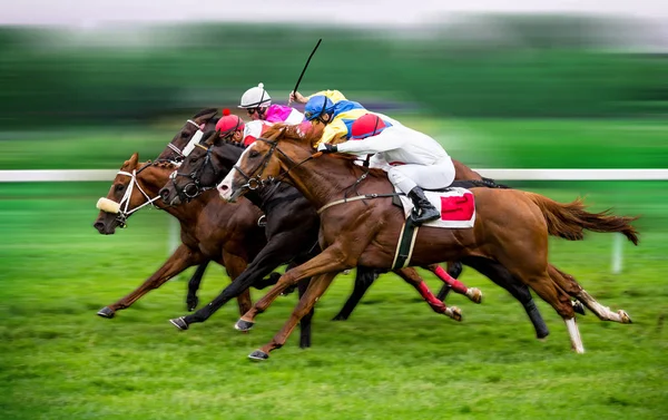Race horses with jockeys on the home straight — Stock Photo, Image