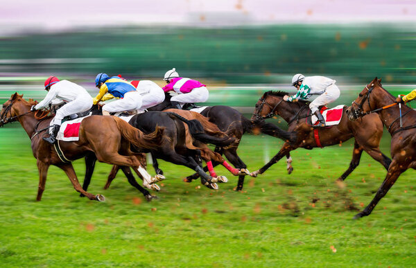 Race horses with jockeys on the home straight