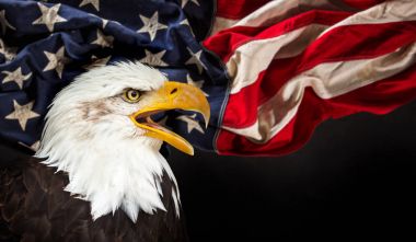 Amerikan bayrağı ile kel kartal