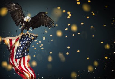 Amerikan bayrağı ile kel kartal