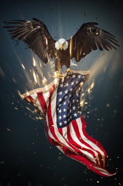 Amerikan bayrağı ile kel kartal