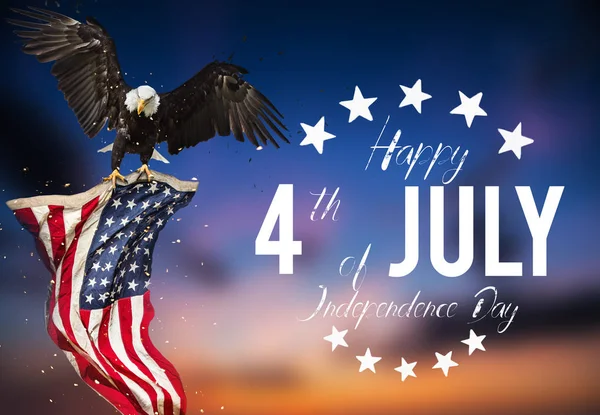 Amerikanisches Fest am 4. Juli. Weißkopfseeadler mit amerikanischer Flagge — Stockfoto