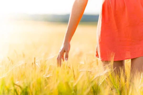 Girl in red dress walking on wheat field — Stock Photo, Image