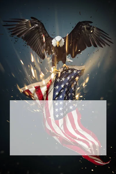 Φαλακρός αετός πετώντας με αμερικανική σημαία — Φωτογραφία Αρχείου