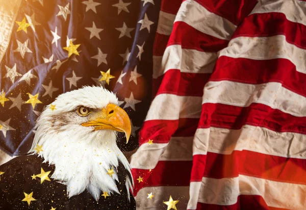 Bald eagle met Amerikaanse vlag — Stockfoto