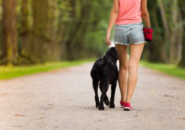 genç kadın ile onun köpek yürüyüş.