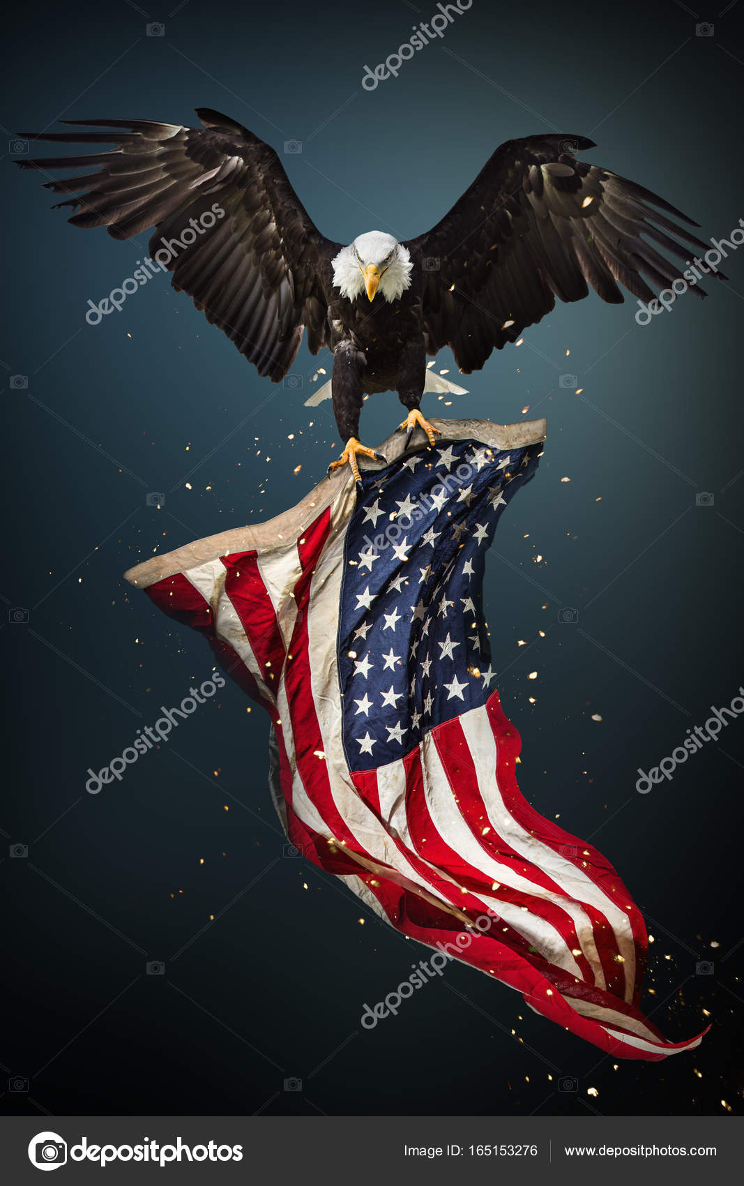 Bandera americana con águila fotos de stock, imágenes de Bandera americana  con águila sin royalties | Depositphotos