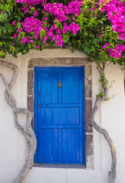 Eski köy Emporio Yunanistan Santorini Adası üzerinde güzel çiçek açan bougenvilia. — Stok fotoğraf