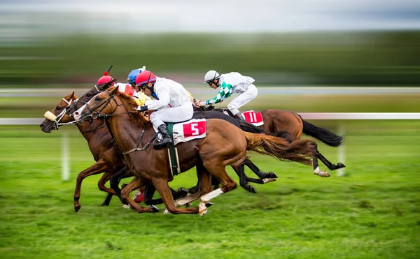 Chevaux de course avec jockeys sur la droite à la maison — Photo