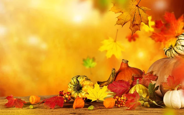 Kabaklar ve yaprakları ile sonbahar natürmort.