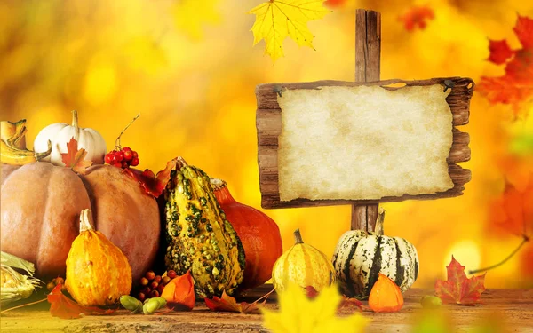 Autumn still-life with pumpkins and leaves. — Stock Photo, Image