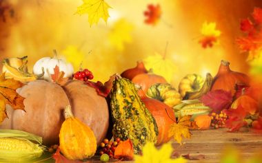 Kabaklar ve yaprakları ile sonbahar natürmort.