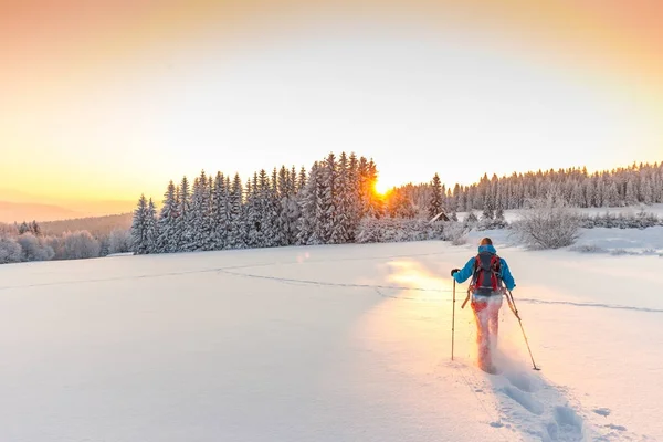 Kar ayakkabılarını adam ile güneşli kış manzarası. — Stok fotoğraf