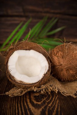 bir hindistancevizi Close-Up