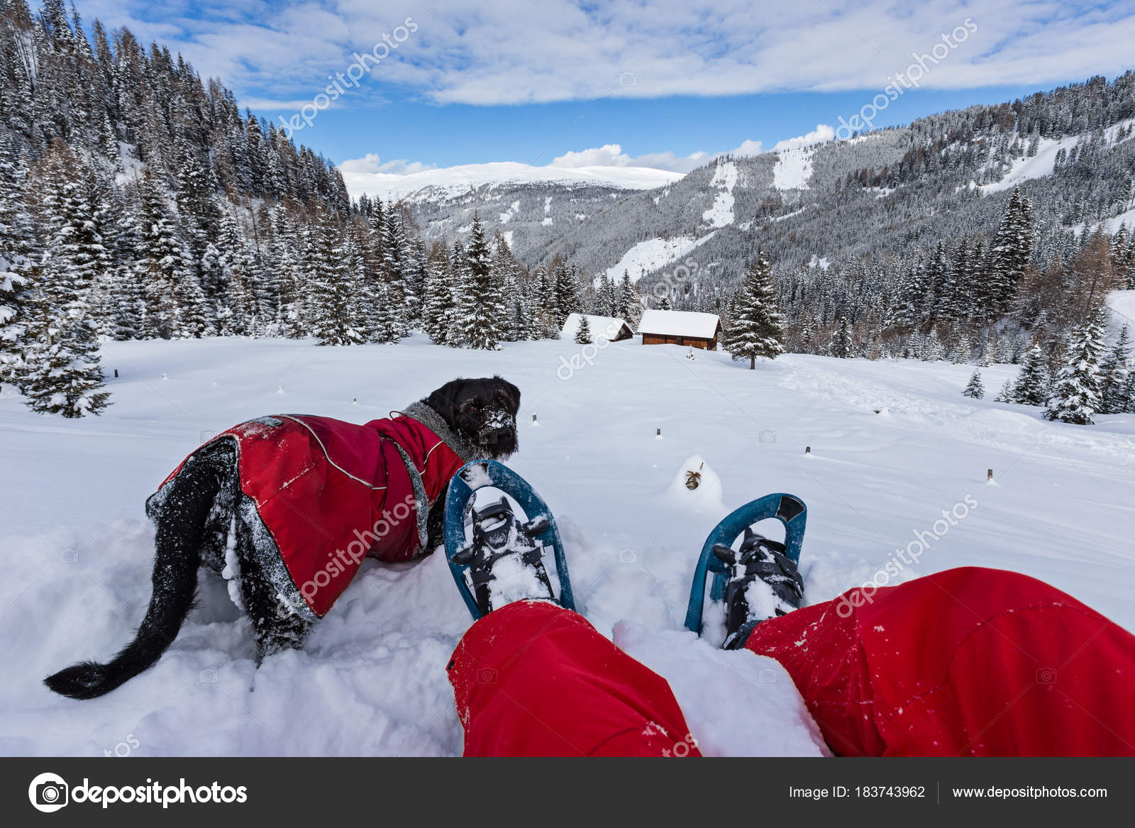 Snowshoe walker with dog in powder snow. Stock Photo by ©Kesu01 183743962