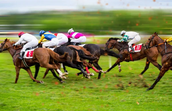 Race horses with jockeys on the home straight — Stock Photo, Image