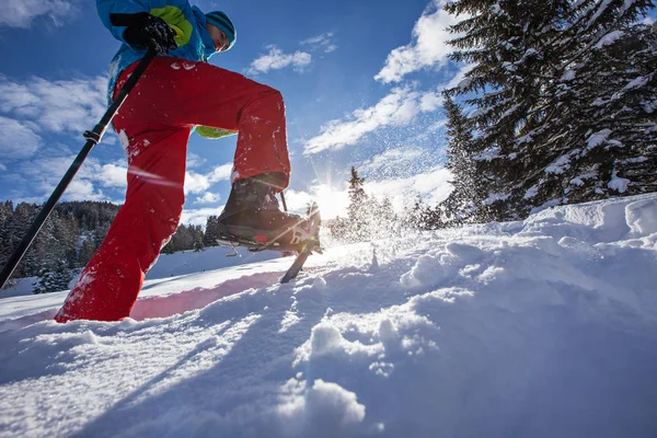 Schneeschuhwanderer läuft im Pulverschnee bei schönem Sonnenaufgangslicht. — Stockfoto