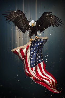 Amerikan kel kartal ile bayraklı.